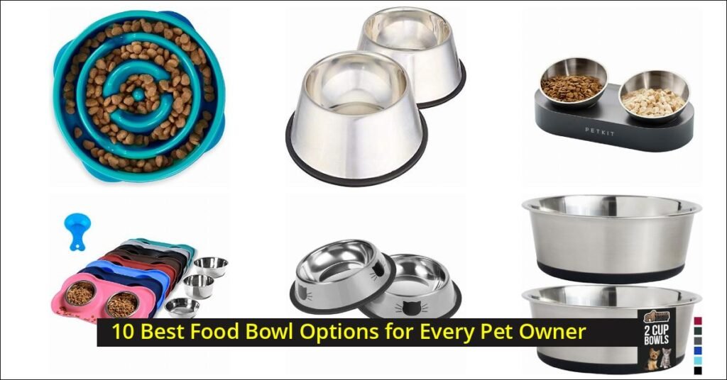 food bowl Image