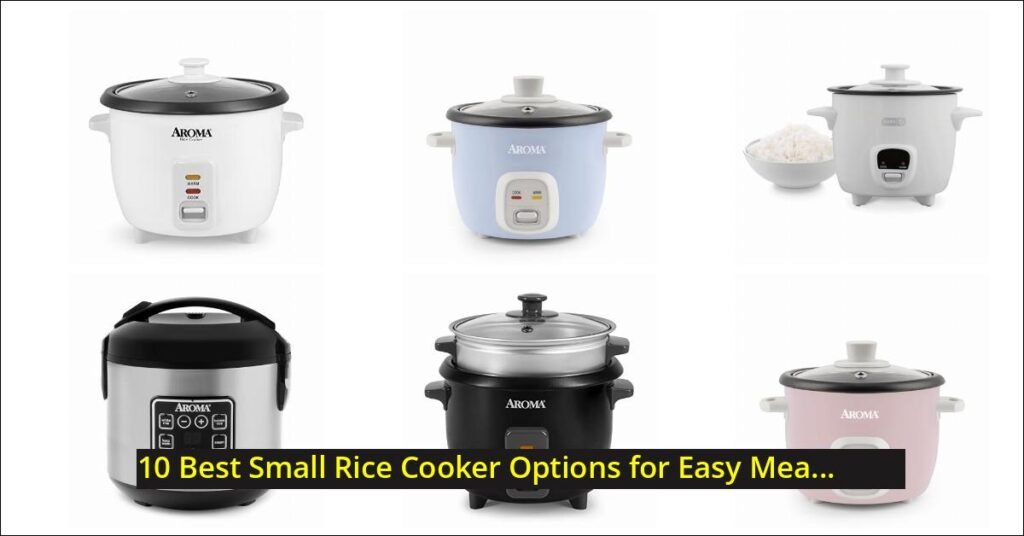 small rice cooker Image