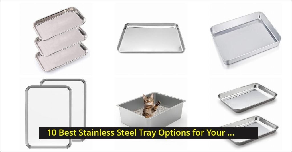stainless steel tray Image