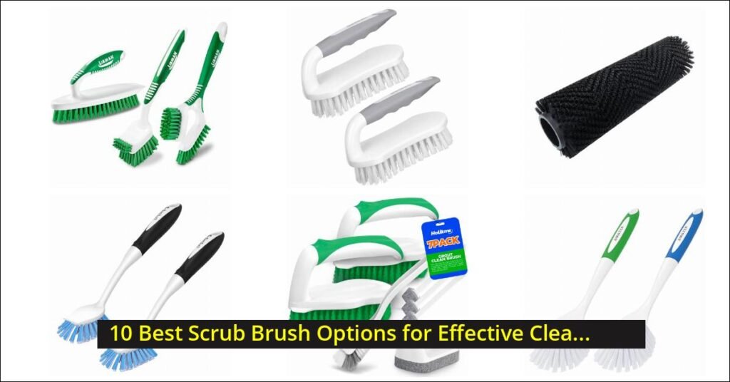 Scrub Brush Image